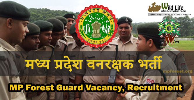 MP Forest Guard Vacancy 2021