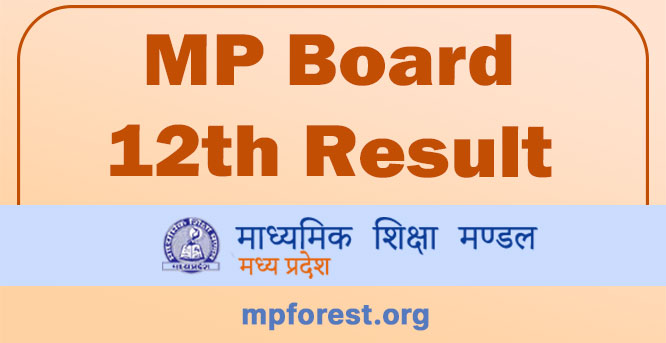MPBSE 12th Result 2023 Check