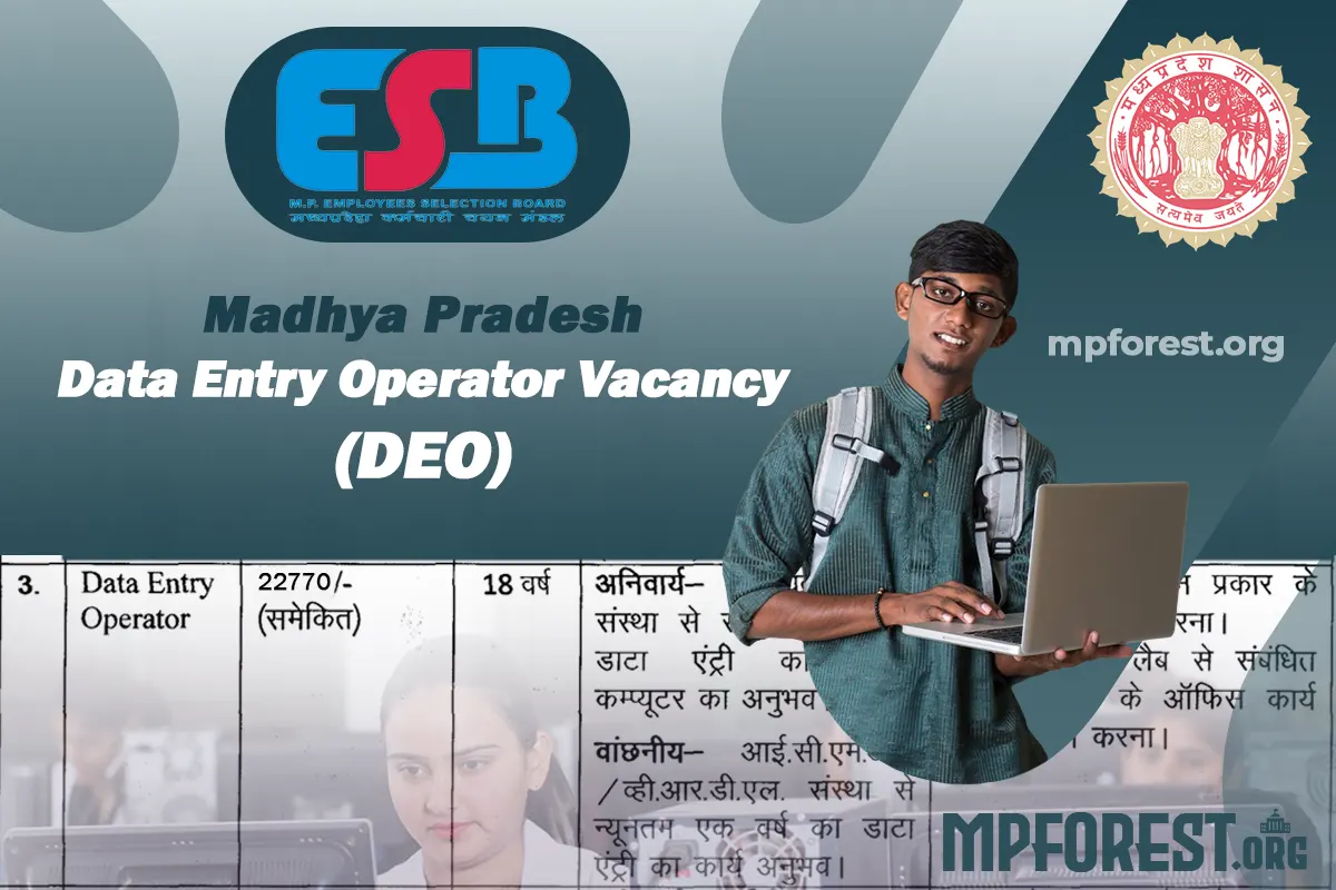 MP Data Entry Operator Vacancy